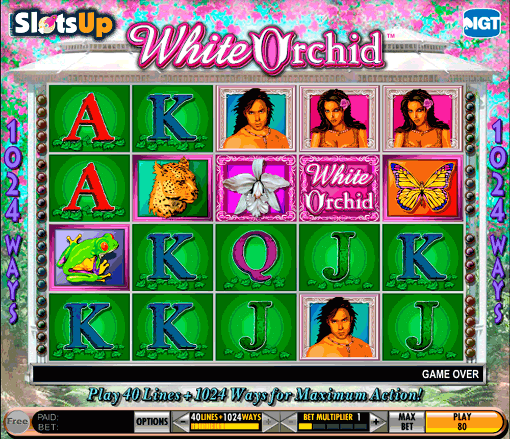 White Orchid Slots online, free